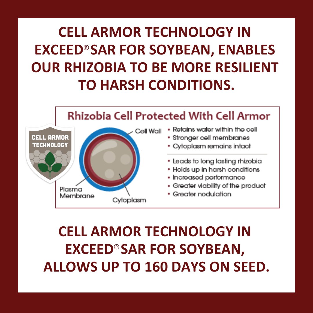New for 2025! Cell Armor Technology in Exceed SAR for Soybean. The fortified rhizobium cells can withstand harsh conditions allowing for more resilient beans. The best just got even better. Contact your dealer to learn more about this exciting technology. hubs.li/Q02_wSR60