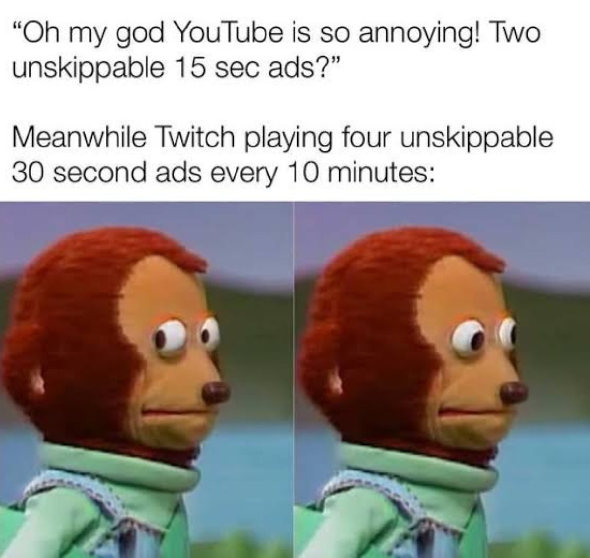 Owl tweet media