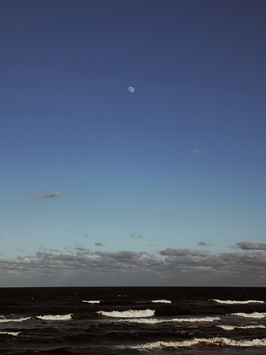 afm (@canany1cme) on Twitter photo 