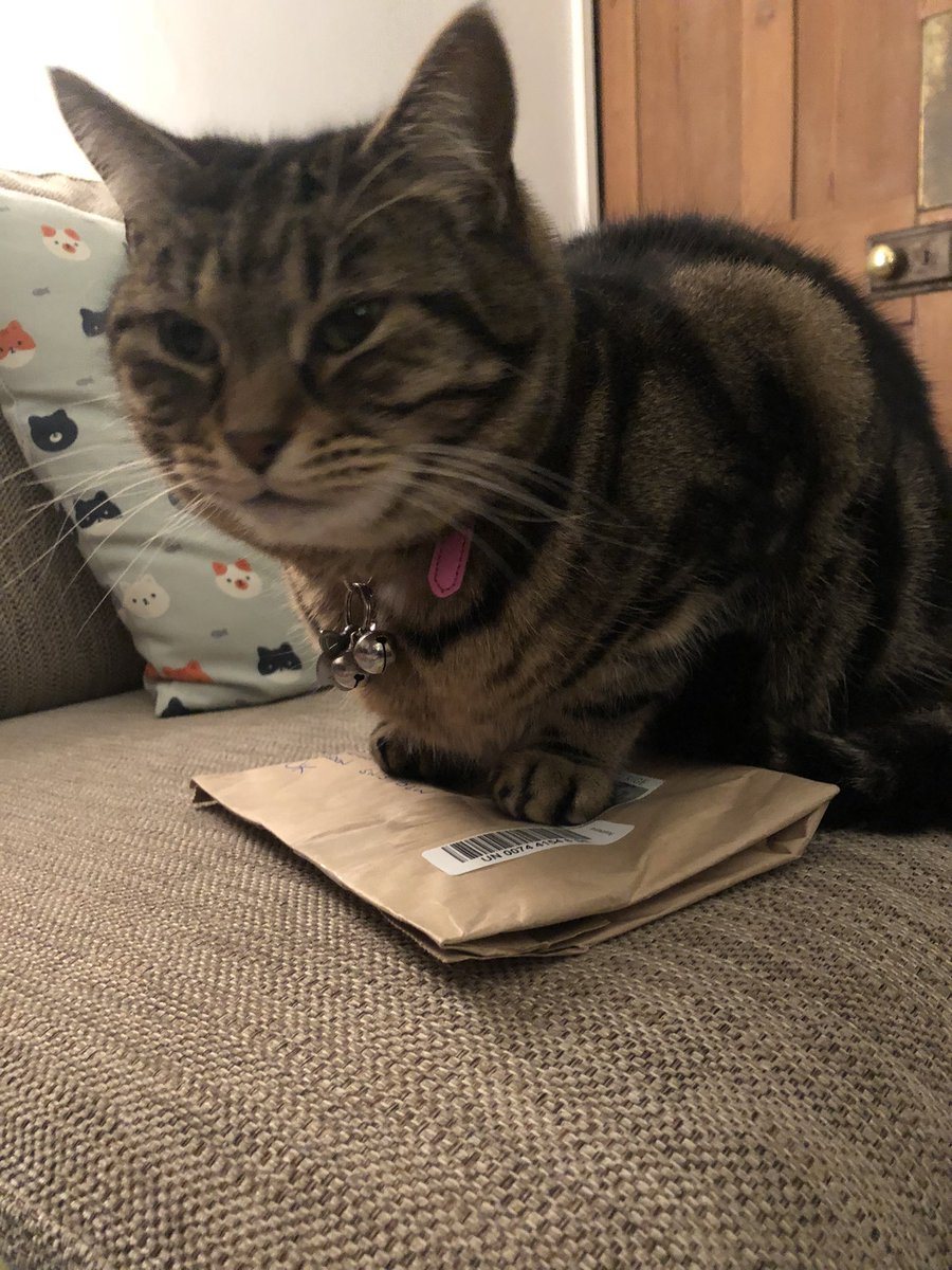 ThanhmaiUK's tweet photo. Thank you @willrdean for my post from the forest. I had to wrestle it away from Mia she thought it was hers #TeamTuva https://t.co/skVQWtFyqo