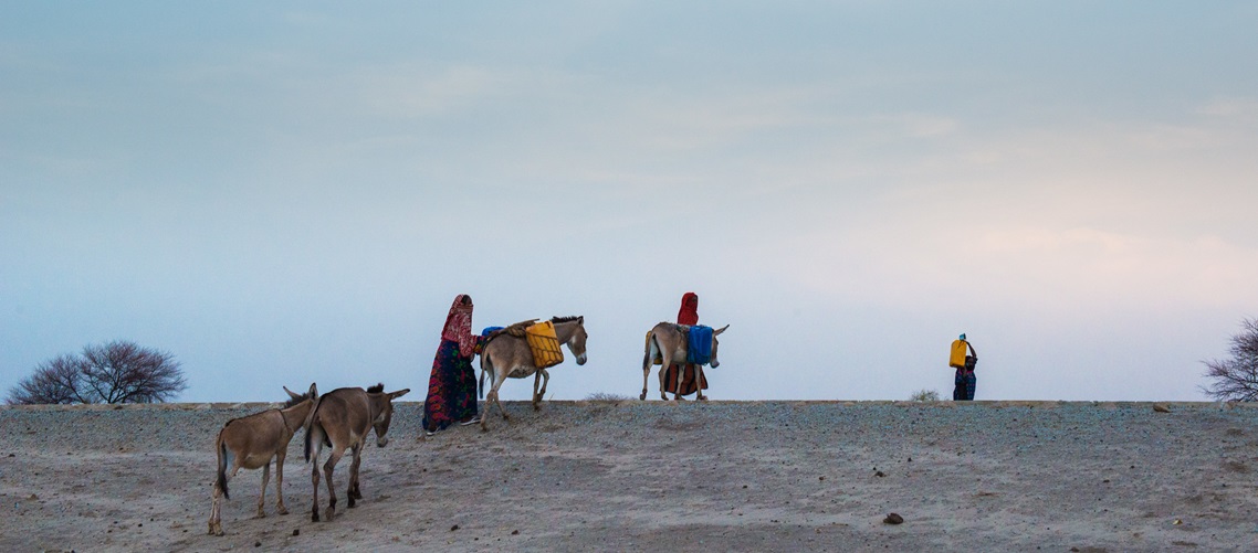 Economic inclusion programs provide powerful solutions to the climate-poverty nexus. Over 2/3 of these programs worldwide integrate climate resilience activities, creating opportunities for the world’s poorest.
 
Learn more: wrld.bg/e3zO50Uqhtp