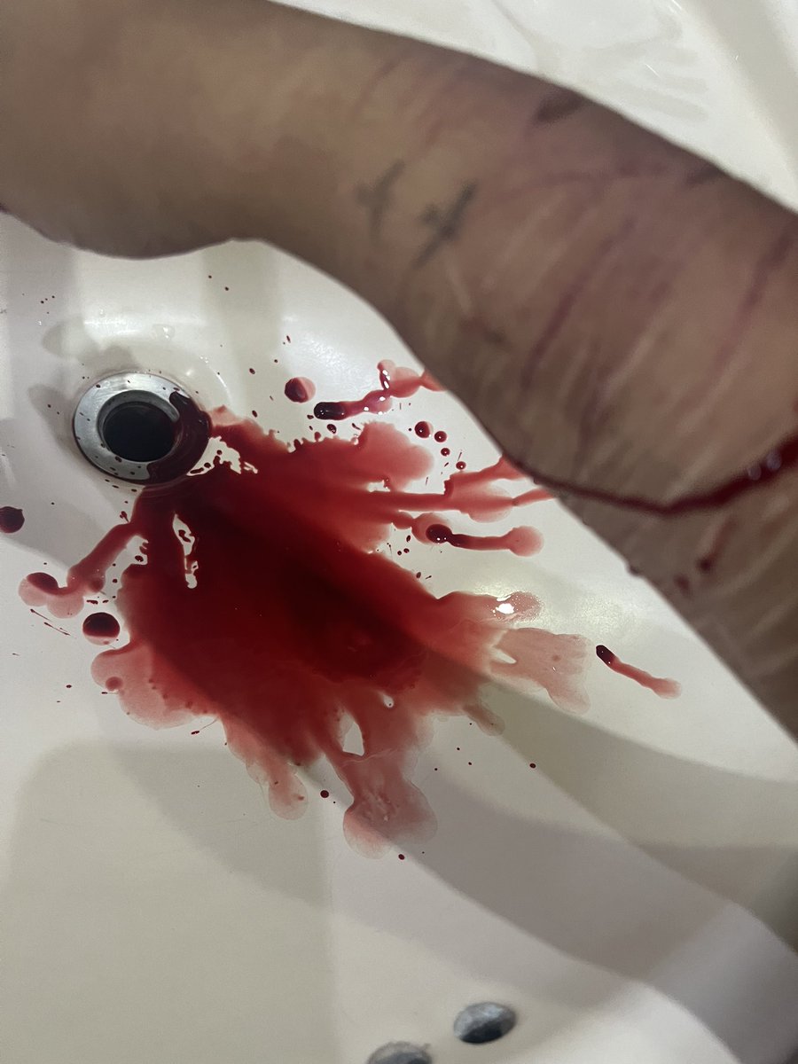 venus shedtwt tweet media