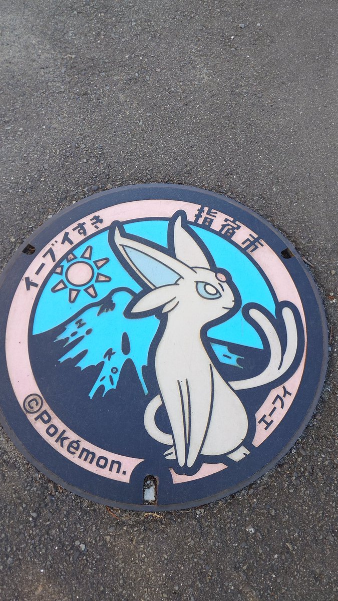 atmr_chocolate's tweet photo. 結婚記念日旅行 in 鹿児島！
指宿市で夫婦でポケふた巡りもして、イーブイマンホール制覇⟡.·
イーブイすき 指宿市 可愛かった☺︎ https://t.co/xP7WNMpPWU