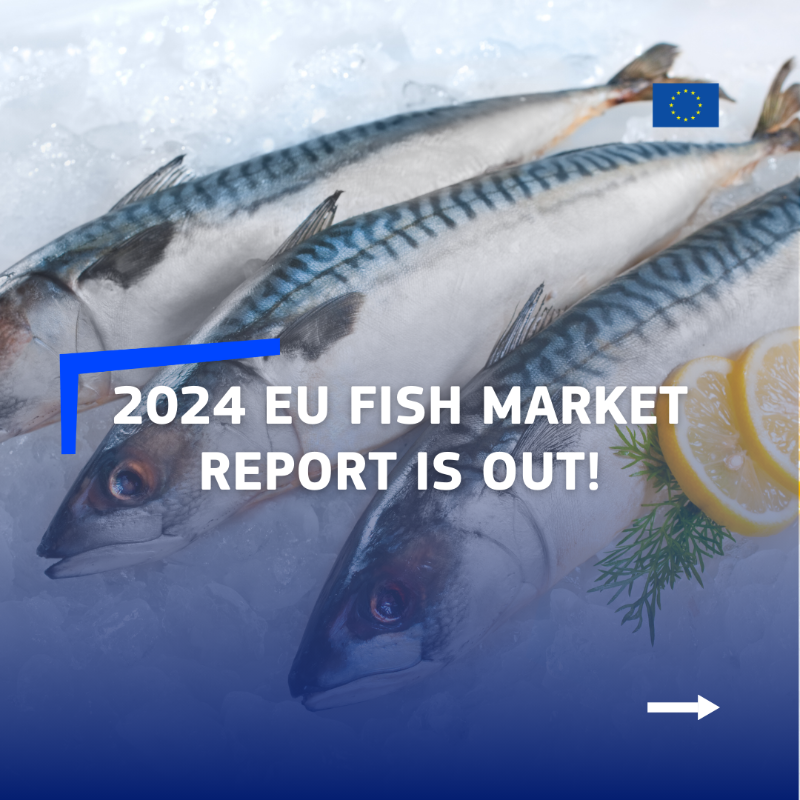 EU_MARE's tweet photo. The EU Fish Market Report 2024 is out! Key highlights:
🐠 Fish from aquaculture leads with a record 6.82kg/person in 2022 – a decade high!
🌊 EU imports valued at €30B, with volumes back to pre-2020 levels.
📉 Per capita consumption amounts to 23,52 kg 

https://t.co/5vsaZ9qyyG
