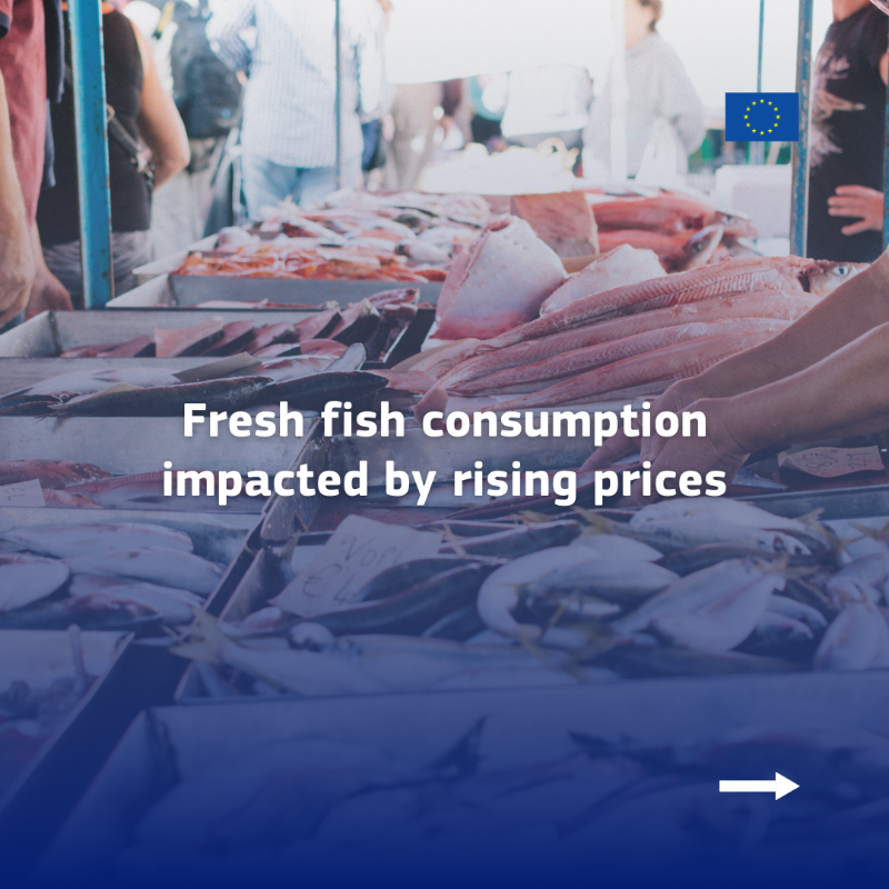 EU_MARE's tweet photo. The EU Fish Market Report 2024 is out! Key highlights:
🐠 Fish from aquaculture leads with a record 6.82kg/person in 2022 – a decade high!
🌊 EU imports valued at €30B, with volumes back to pre-2020 levels.
📉 Per capita consumption amounts to 23,52 kg 

https://t.co/5vsaZ9qyyG