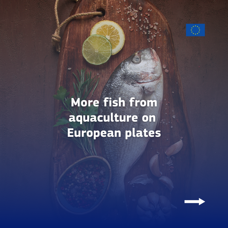 EU_MARE's tweet photo. The EU Fish Market Report 2024 is out! Key highlights:
🐠 Fish from aquaculture leads with a record 6.82kg/person in 2022 – a decade high!
🌊 EU imports valued at €30B, with volumes back to pre-2020 levels.
📉 Per capita consumption amounts to 23,52 kg 

https://t.co/5vsaZ9qyyG