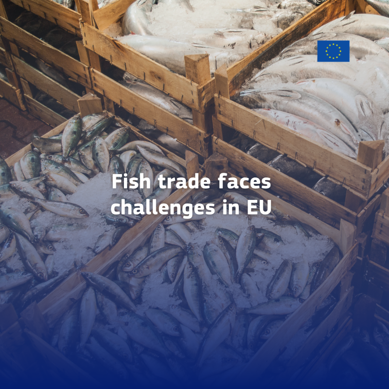 EU_MARE's tweet photo. The EU Fish Market Report 2024 is out! Key highlights:
🐠 Fish from aquaculture leads with a record 6.82kg/person in 2022 – a decade high!
🌊 EU imports valued at €30B, with volumes back to pre-2020 levels.
📉 Per capita consumption amounts to 23,52 kg 

https://t.co/5vsaZ9qyyG