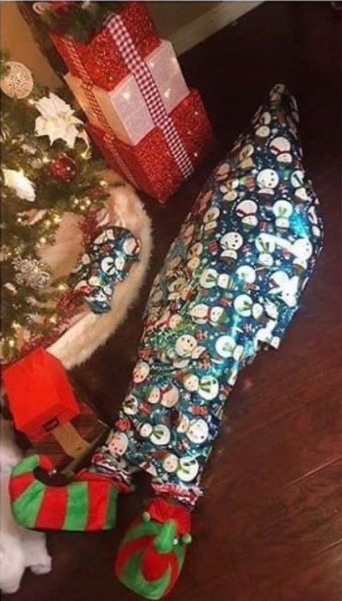 cata spider hayden truther tweet media