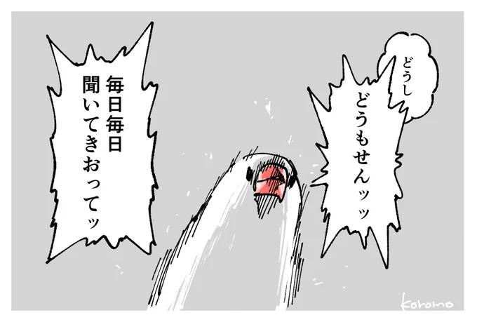 ほんと「どうしたの?」のこと、世のペットたちはどう思ってるんだろう 