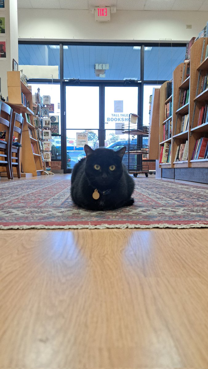 TallTalesATL's tweet photo. Mr. Marlowe supervising the holiday shopping. He would advise phoning in with your special orders right away. Things are flying out the door here, and at the warehouse.
#bookstorecat #catsofinstagram #booksandcats #CatsWhoRead  #catsandbooks https://t.co/gnQDQ9Bhc8