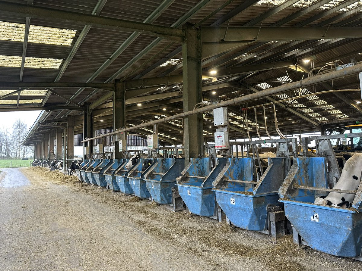 Hannah Cuthbert tweet media