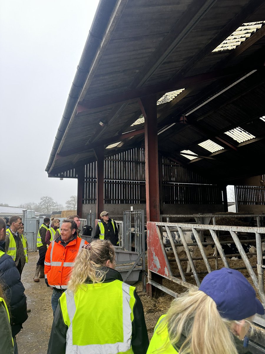 Hannah Cuthbert tweet media