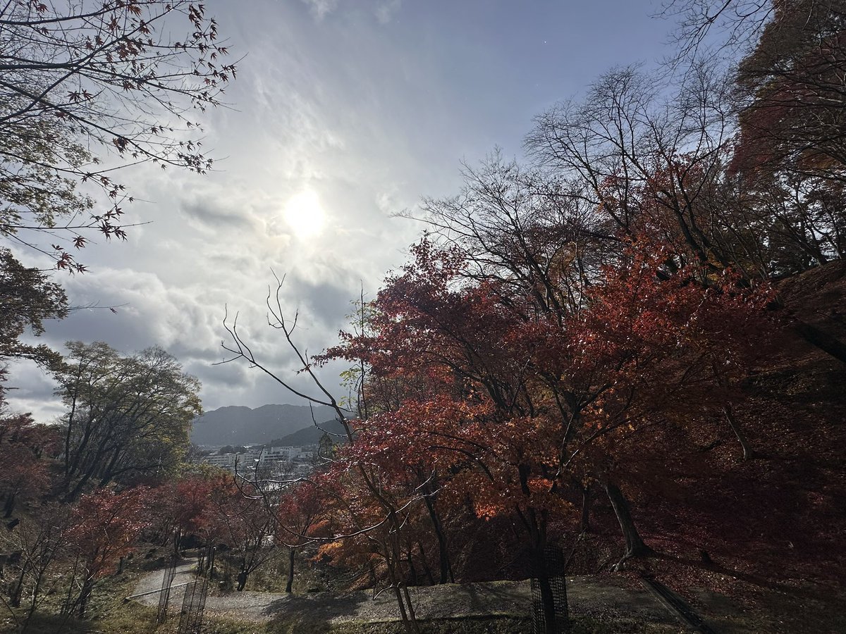 おはようございます。

12月13日✨

気が付けば金曜日。
日曜日以来のポストです。
忙しい毎日が続いてます。仕事が減らない。終わらせても次から次へと新しい仕事が増える💦

何にもすることなくて時間が経つのが遅く感じるよりはマシなのかな🙄