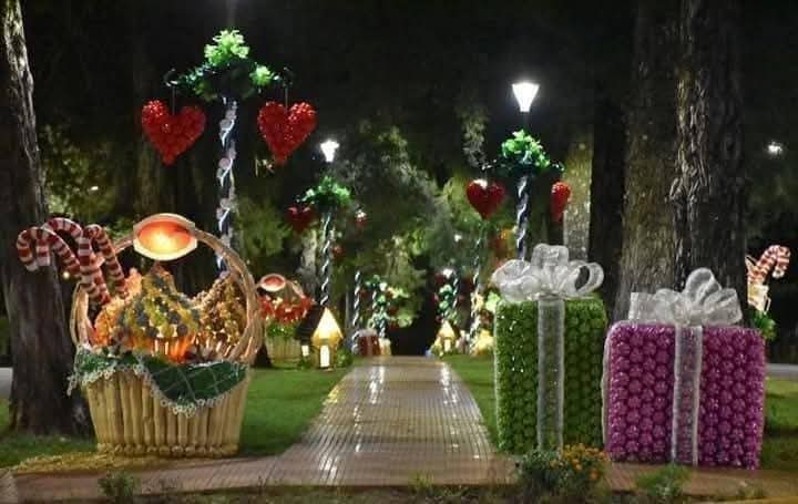 turisargentina's tweet photo. ¿SABÍAS QUE EN #MISIONES EXISTE LA CIUDAD MAS NAVIDEÑA DE LA ARGENTINA? 🎄🎅🌟🎁
 
#Capioví es un municipio de la Provincia de Misiones, ubicado dentro del Departamento Libertador General San Martín. Se encuentra sobre la Ruta Nacional 12, prácticamente a mitad de camino entre la capital de la provincia, Posadas, y la turística ciudad de Puerto Iguazú.

Cuando llega la época de la navidad, como cada año, la ciudad se viste de fiesta para el deleite de sus habitantes y para quienes van a conocer uno de los lugares mas emblemáticos de Argentina, si hablamos de la Navidad, donde el color y las luces le ponen ese aire de fiestas con el inicio del mes de diciembre.

Esta actividad se viene realizando de forma ininterrumpida desde hace 16 años con el esfuerzo de muchas personas que voluntariamente donan su tiempo y conocimientos, reflejando el sentido de pertenencia, compromiso, respeto mutuo y por sobre todo amor a su pueblo.

#Misiones #navidad #argentina🇦🇷 Fotos de Soy de misiones

Compartan las fotos de los árboles de sus ciudades o pueblos. 🙌☺️