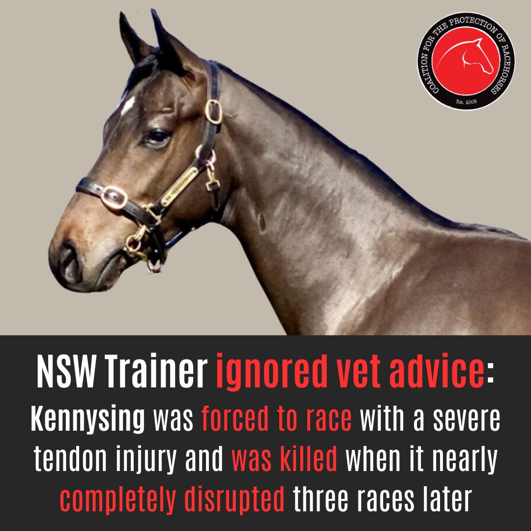 NSW racehorse trainer Greg Kilner was issued a petty 4-month trainer disqualification: racingnsw.com.au/wp-content/upl…

#horseracingkills #nuptothecup #youbetheydie
