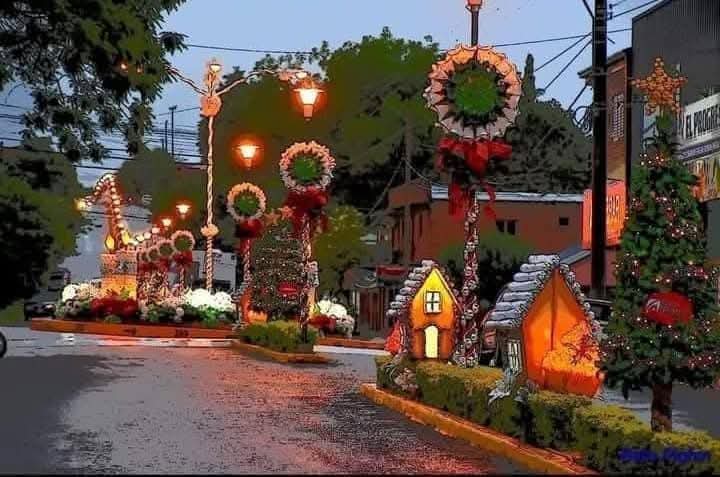 turisargentina's tweet photo. #Capiovi Misiones 🌟🤶🎄 https://t.co/V4INuRYTah
