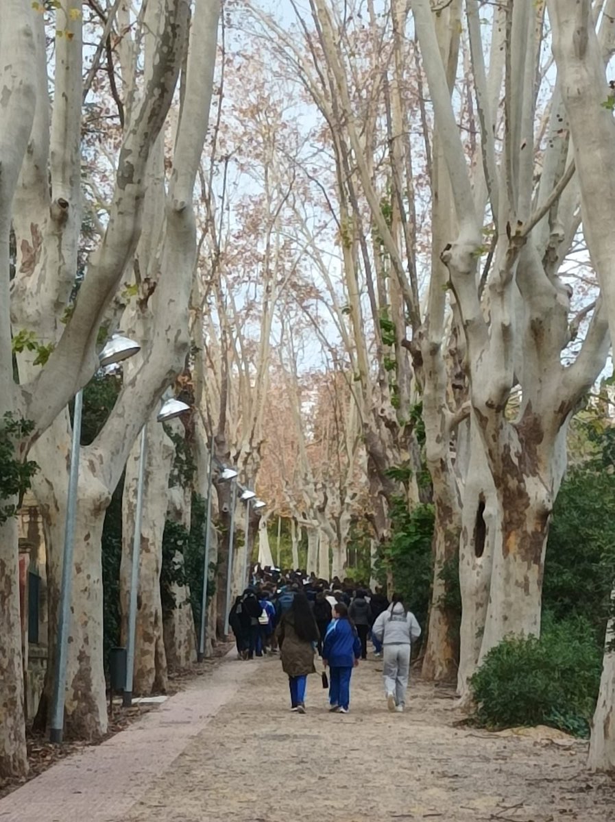 Col_Maria Rosa Molas tweet media