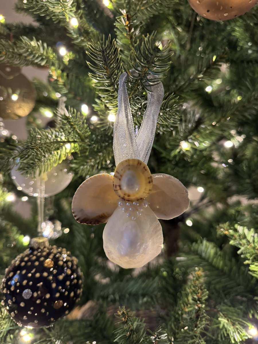 It’s the week where the same satsuma goes back and forth, chocolate is always the answer and the alarm feels like the middle of the night; a little gift from a little person is the reminder of why we do what we do. #thebestjob