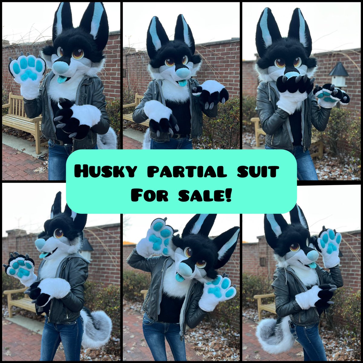 Lily Moon suits tweet media