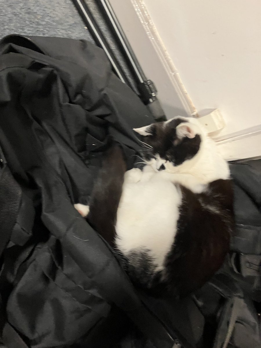 stationmoggy's tweet photo. A day in the life of being PAWlice Cat 🚔 (especially when it’s cold 🥶)
#eatSleeprepeat 😹
#WorkingCats 🐈⬛
#Asyouwere 💤 https://t.co/B6c3jUosml
