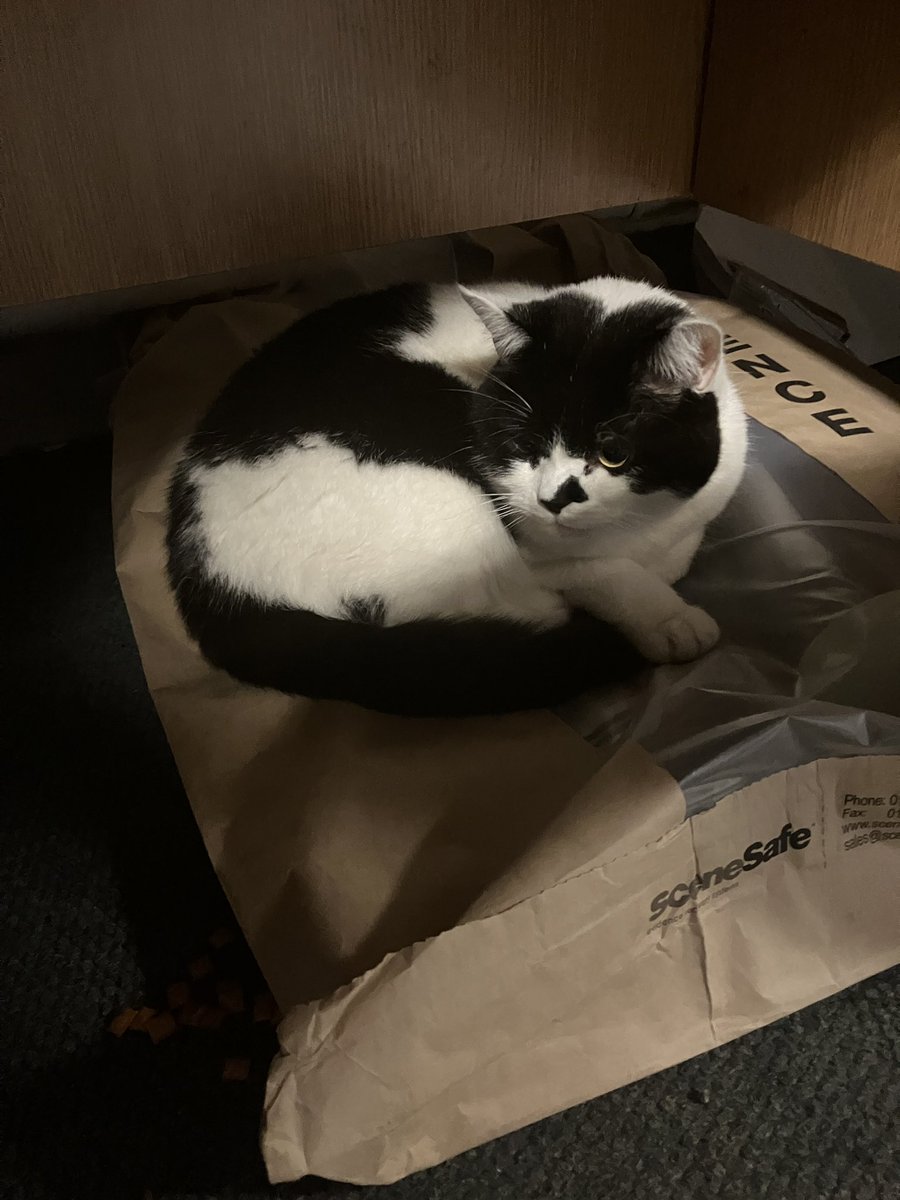 stationmoggy's tweet photo. A day in the life of being PAWlice Cat 🚔 (especially when it’s cold 🥶)
#eatSleeprepeat 😹
#WorkingCats 🐈⬛
#Asyouwere 💤 https://t.co/B6c3jUosml