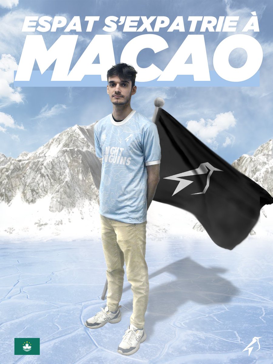 Night Penguins tweet media