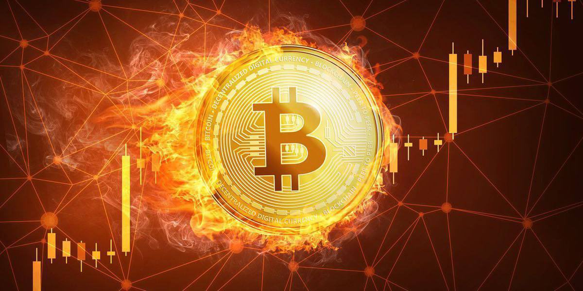 Vou distribuir R$197.000,00 com meus novos seguidores. Você duvida? Deixa sua carteira de bitcoin aí 

Para participar
1- Siga @novellinopedro no X
2- Reposte esta publicação
3- Envie sua carteira da Binance aqui abaixo
