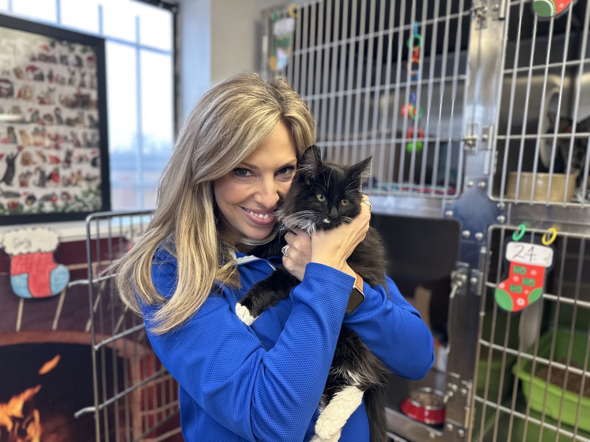 Laura Papetti tweet media