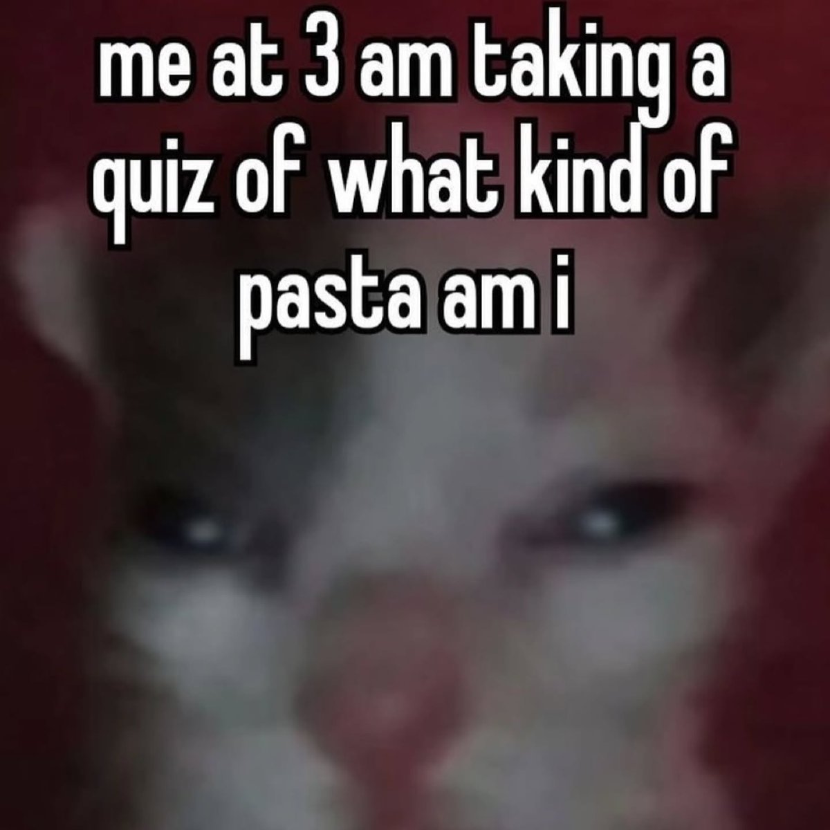 Punch Cat (@punchingcat) on Twitter photo 