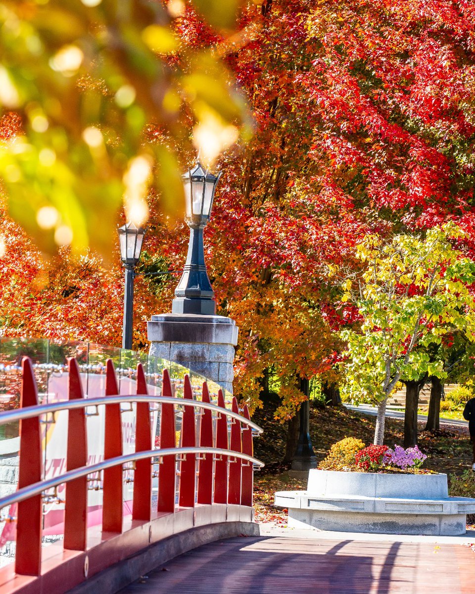 norwichnews's tweet photo. We're starting the countdown to 2025 with our top photos of campus from 2024!

Do you have a favorite amongst them? Let us know in the comments below! https://t.co/eYX1gHVObc
