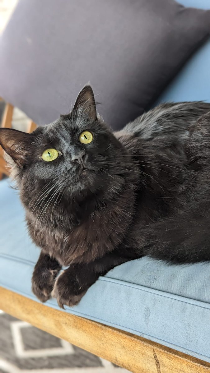 Tyler Foust tweet media