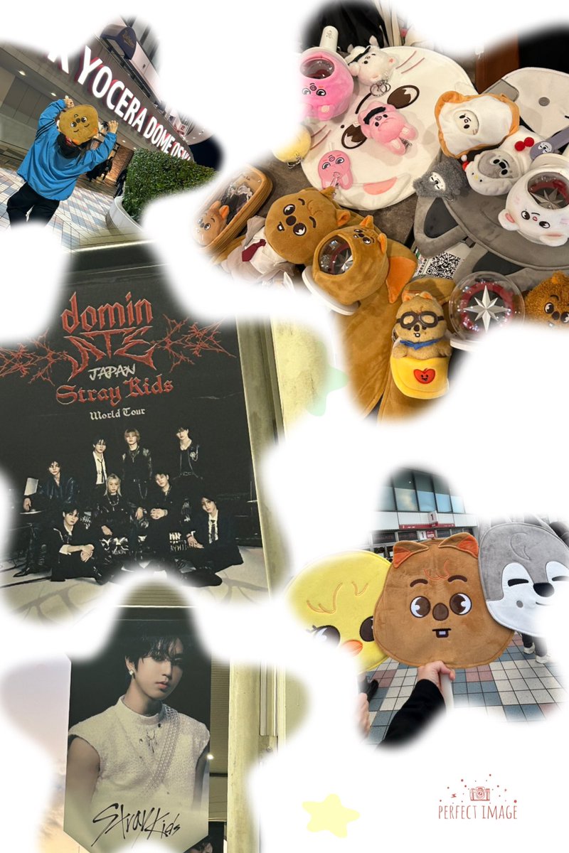 jkmin83's tweet photo. ありがとうSkz🖤
ありがとうStrayチング❤️𓂃 𓈒 https://t.co/fxhgG3ASDb