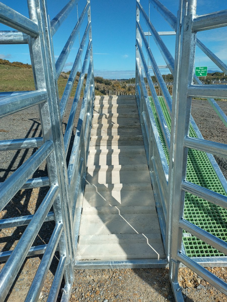 KiwiCattleYards's tweet photo. Do you know our Heavy Duty Loading Ramp has a concrete floor?

#heavyduty #loadingramp #nzmade https://t.co/2ZXkvVbxx6