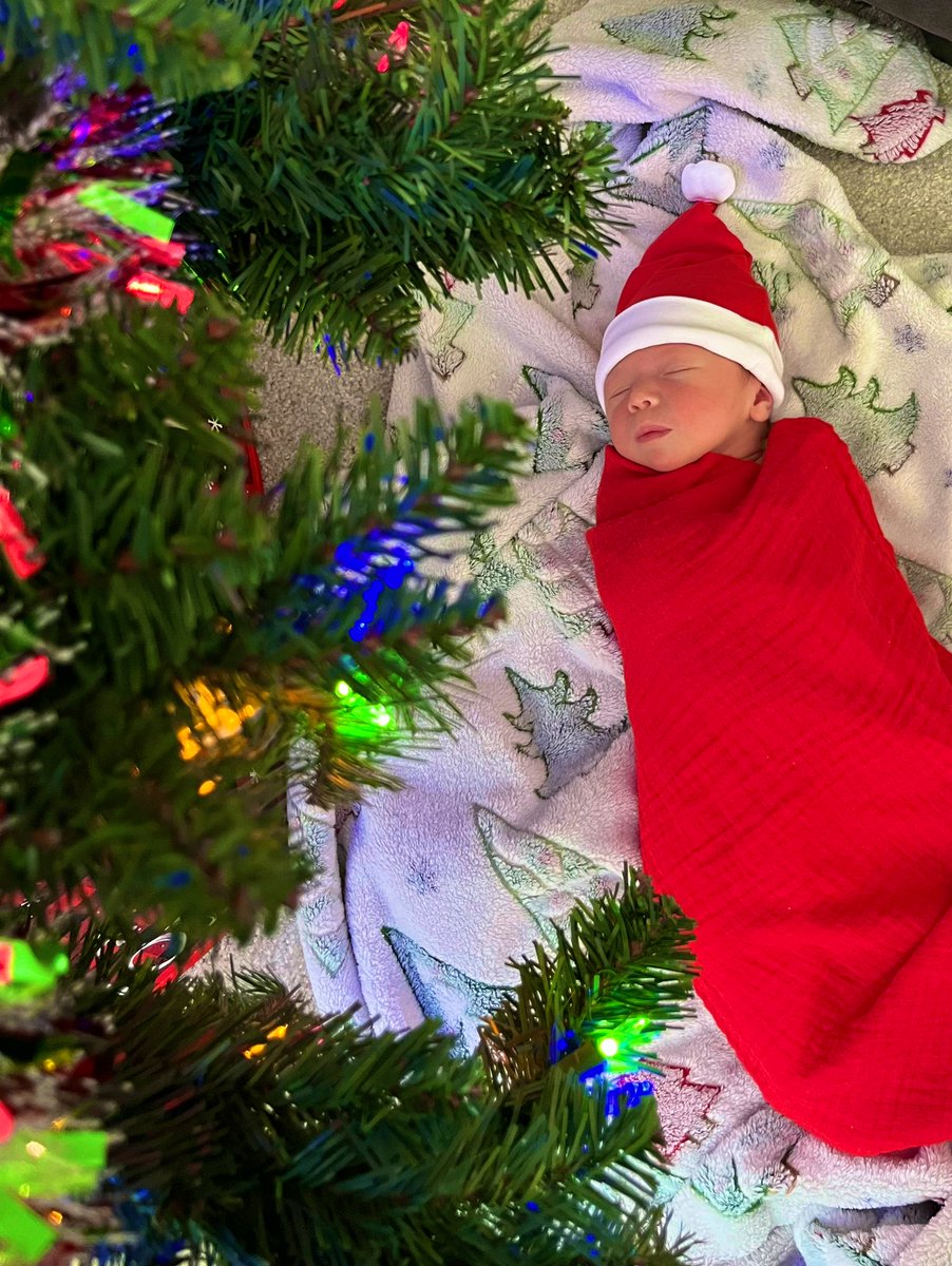 mrhead_AHS's tweet photo. Look what we found under the tree! Lyla ❤️🎄🌲 https://t.co/U8eFAfhNbL