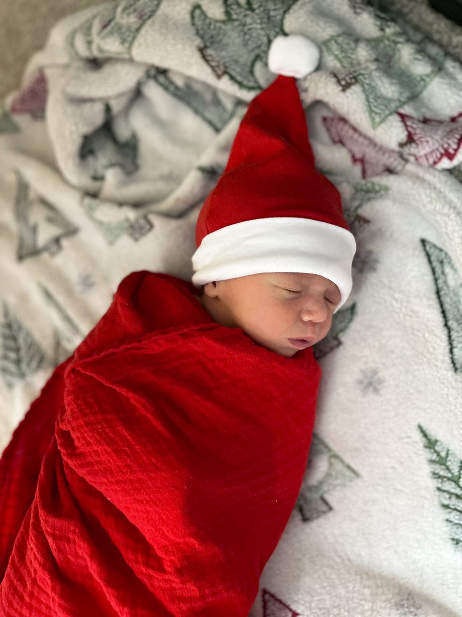 mrhead_AHS's tweet photo. Look what we found under the tree! Lyla ❤️🎄🌲 https://t.co/U8eFAfhNbL