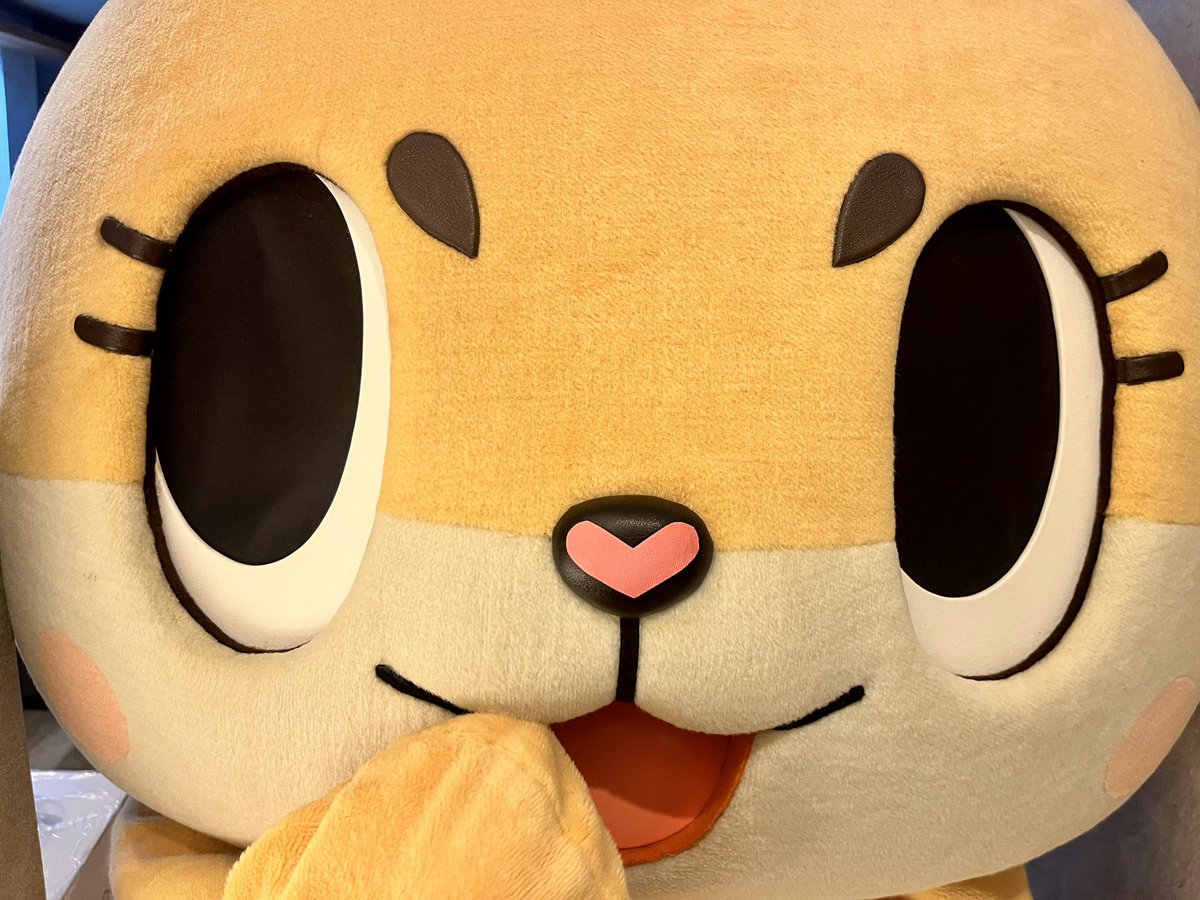 Kyushu_Chiitan's tweet photo. みんなしってる？きょうはきんようびだよ☆がんばってね☆

Do you all know? Today is Friday! Good luck! https://t.co/9k7uSsxiuV