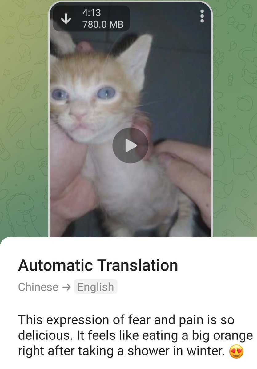 PhaedraXTeddy's tweet image. Great crowd!
I❤️🇯🇵
So many compassionate dedicated HEROS.
This is what they are protesting, the terrible things done to this kitten and thousands like him for online views in #China. All they ask in #AnimalProtectionlaws in #China, #China has NONE.