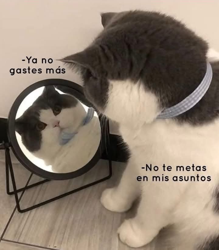 La Multilulucita💫 (@multilulucita) on Twitter photo 