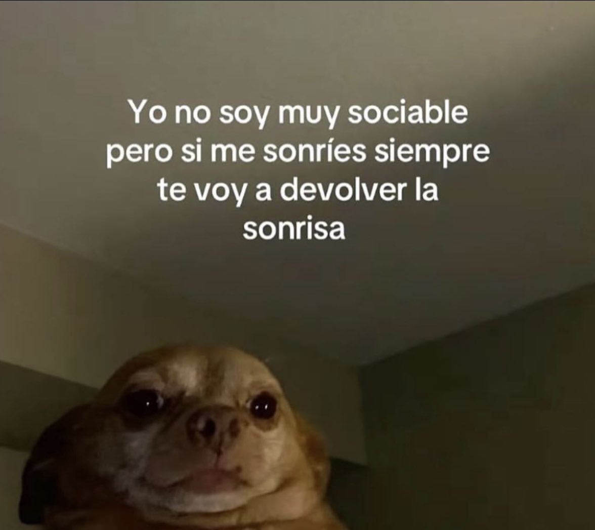 ElPanditaRojo_'s tweet image. 