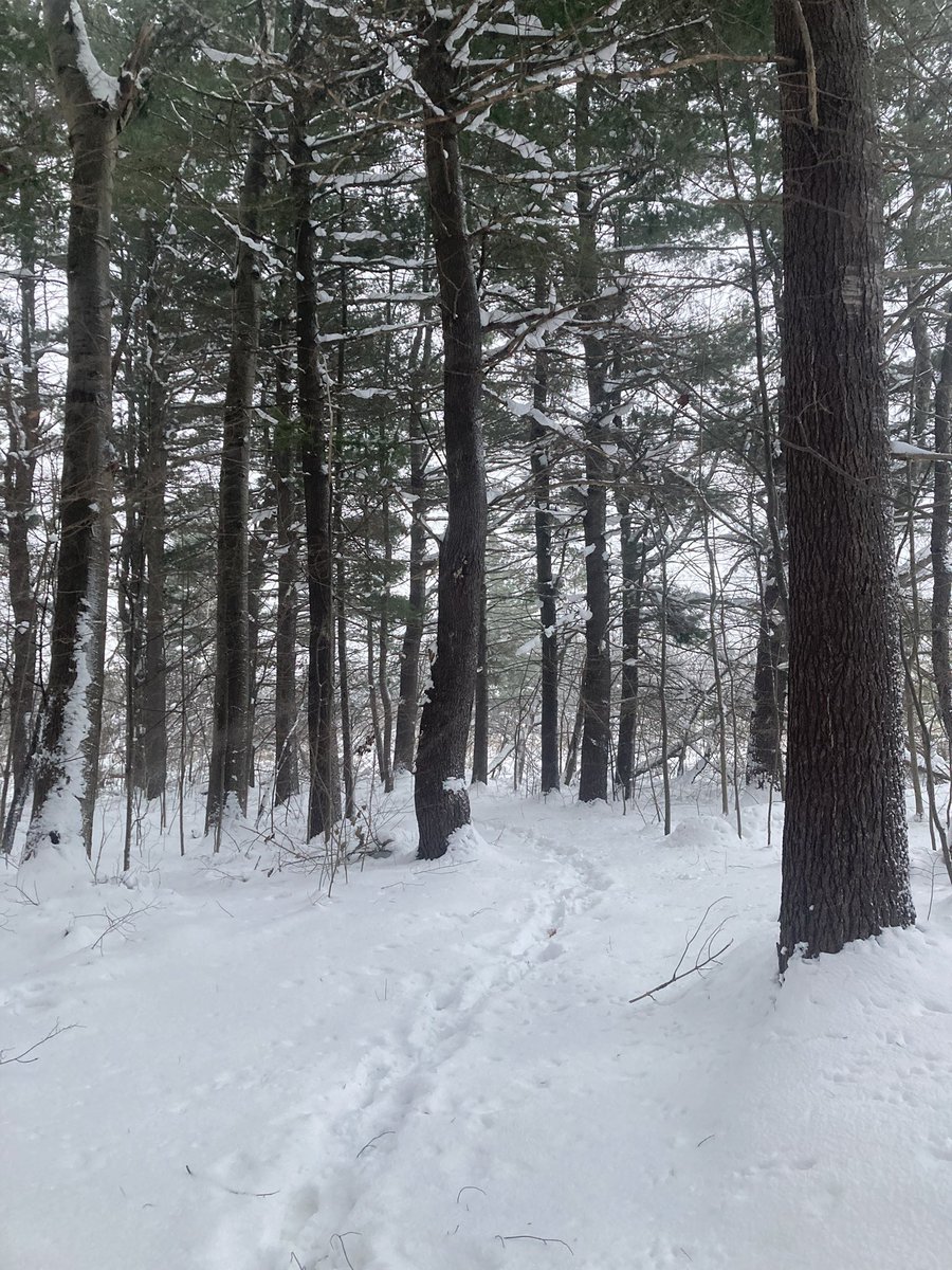 DebPatters's tweet photo. @canuckcarl We’re under yet another State of Emergency. We’re expected to get 2-3 feet of new snow by tomorrow night. But there’s still plenty of dullards saying, “See!  There’s more snow, so global warming is a hoax!”  🤬🙄 https://t.co/pdPy9czR04