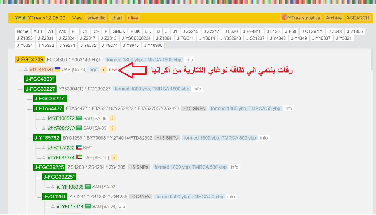 StudiesHuman's tweet image. الوايفل ترفع رفات #اكرانيا (UKR020)  على مشجرتها أسفل J-FGC9 على التحور J-FGC4309  شقيق تحور بني هلال المزعوم J-ZS4753 , ينتمي الرفات الي ثقافة نوغاي (Nogai Culture) وهم #تتارالقرم و يعود اسم نوغاي إلى نوغاي خان حفيد جنكيز خان الذي توفي 1300م وهو نفس عمر الرفات المقدر بـ 600 عام.