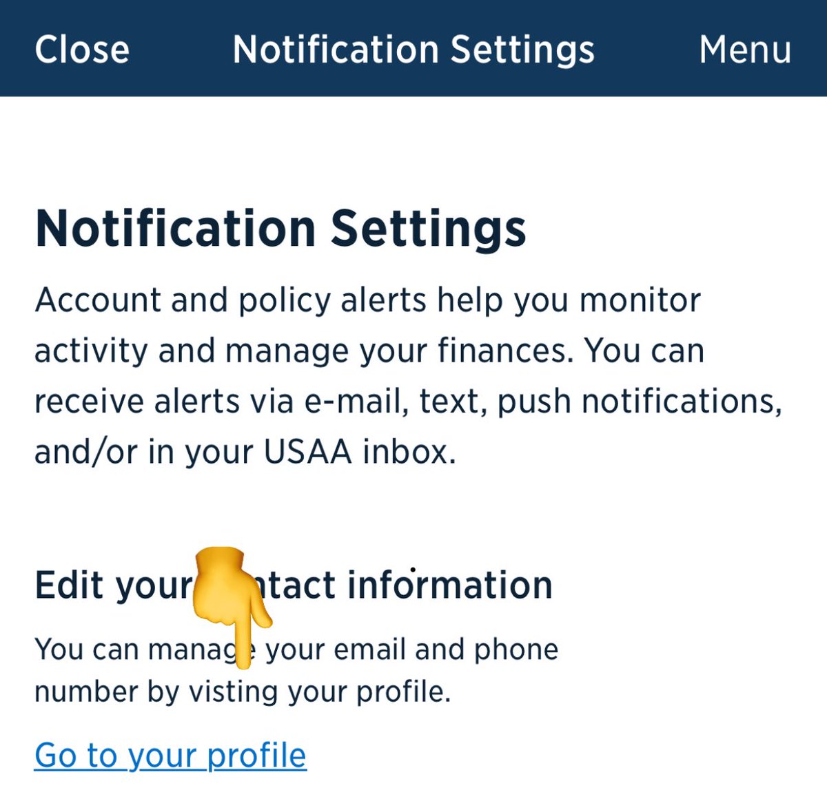 Nan Palmero 🛋️ tweet media