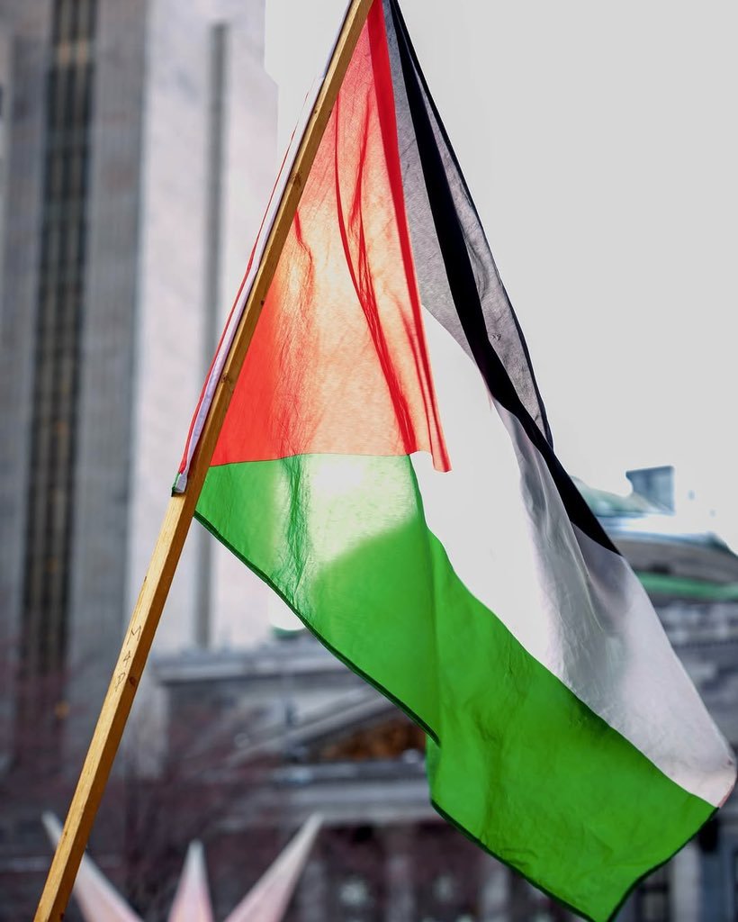 PalestineCultu1's tweet photo. I’m very sad and tired, support me with a word. https://t.co/8Y80RmYM1K