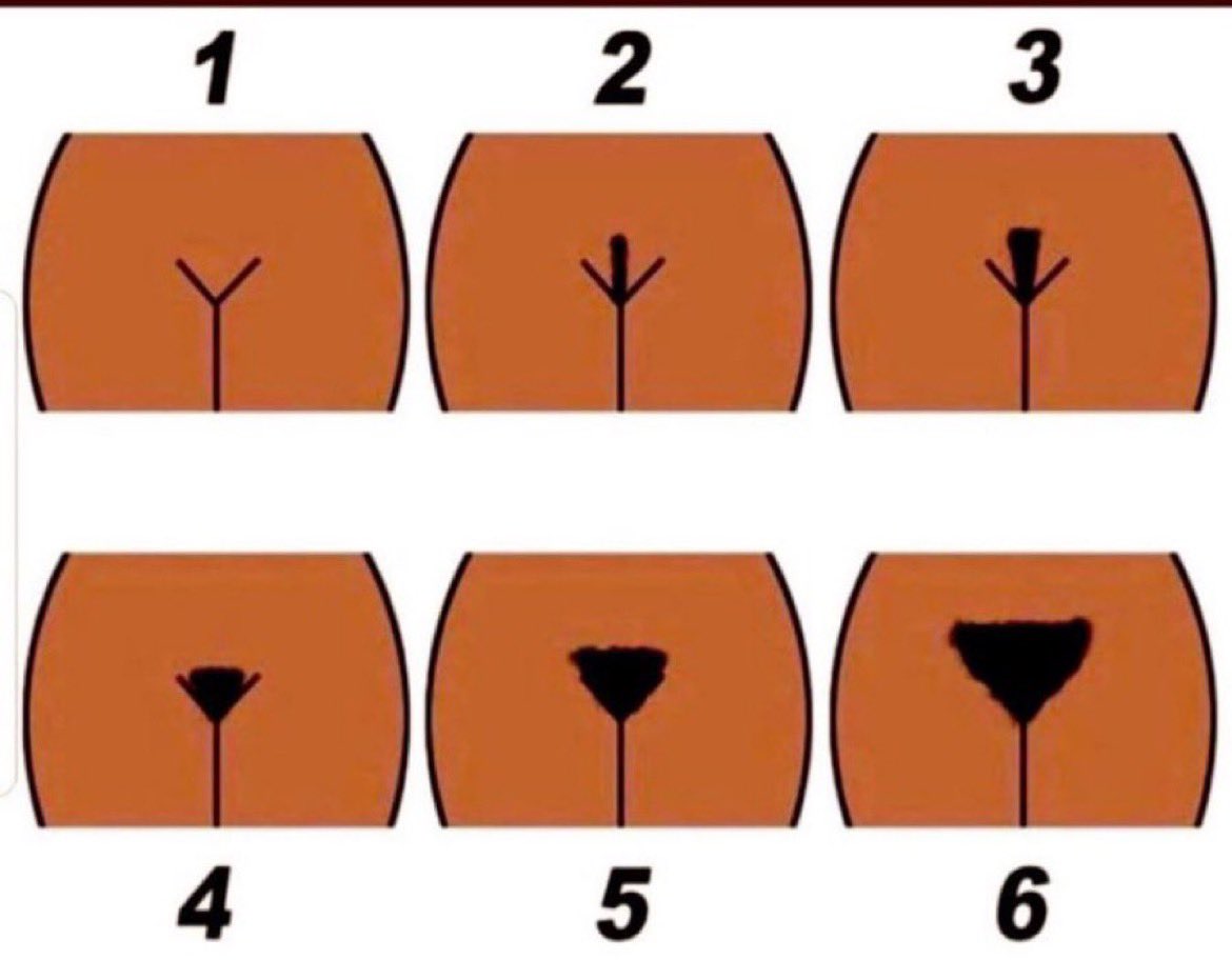 BasedNormieMama's tweet photo. Ok soooooo what's your favorite??? 

Inquiring minds want to know??? Lol https://t.co/Qmpzm6Qiu0