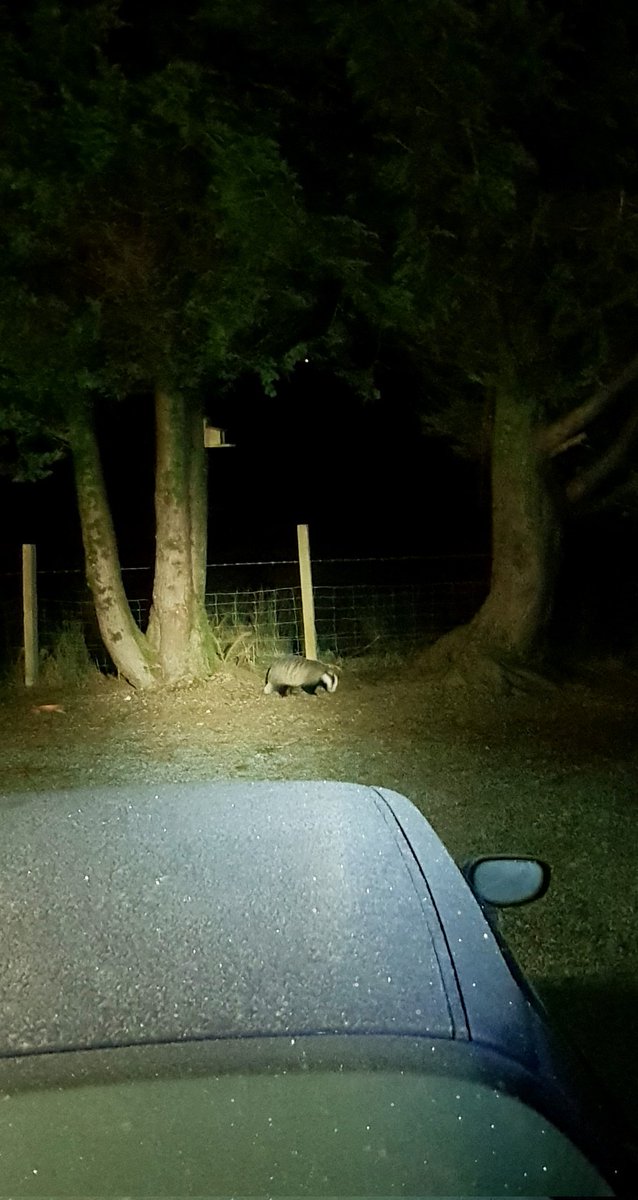 Julie Platt (🚙🇪🇺🐈🏴󠁧󠁢󠁳󠁣󠁴󠁿🐌🏳️‍🌈🍸) tweet media