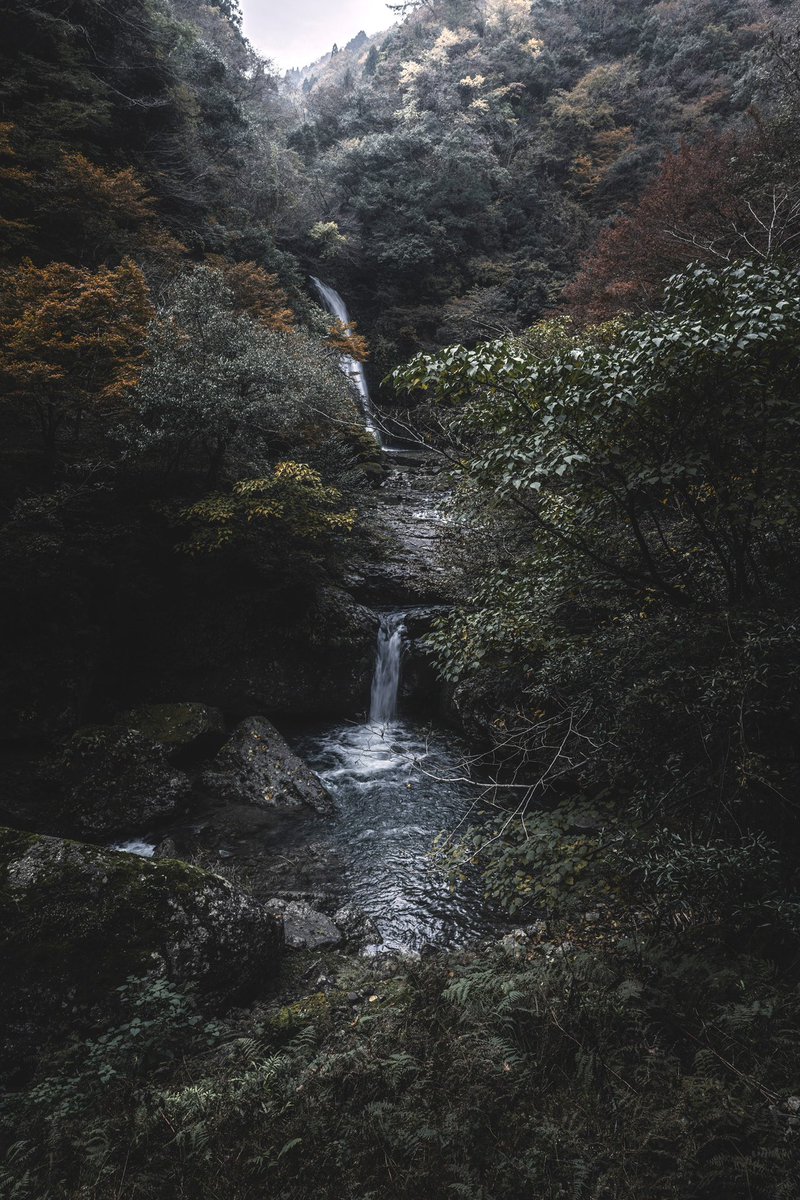 _bdtopb's tweet photo. #canon #風景写真 https://t.co/UxHc6ssDrx