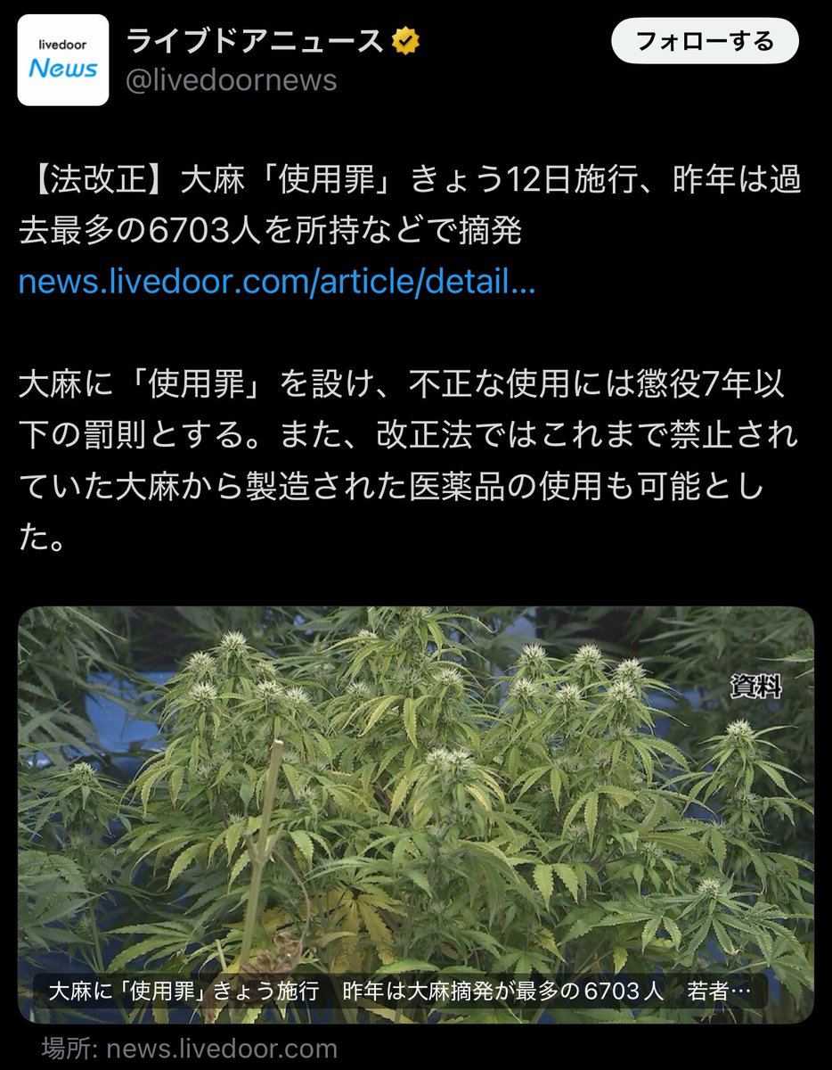 gray_tattooist_'s tweet photo. ついに昨日から大麻使用罪が施行された。

大麻吸ったら懲役7年。

街で酒飲んで暴れて馬鹿騒ぎするのは合法
家で大麻吸ってピザ食って映画観るのは違法

この狂った世の中を変えるためにカンナビノイドを頑張って売ってきたけど、結局国家勢力の前では無力でした。

https://t.co/H8IRZmcvQQ https://t.co/GWdE1zDvh2