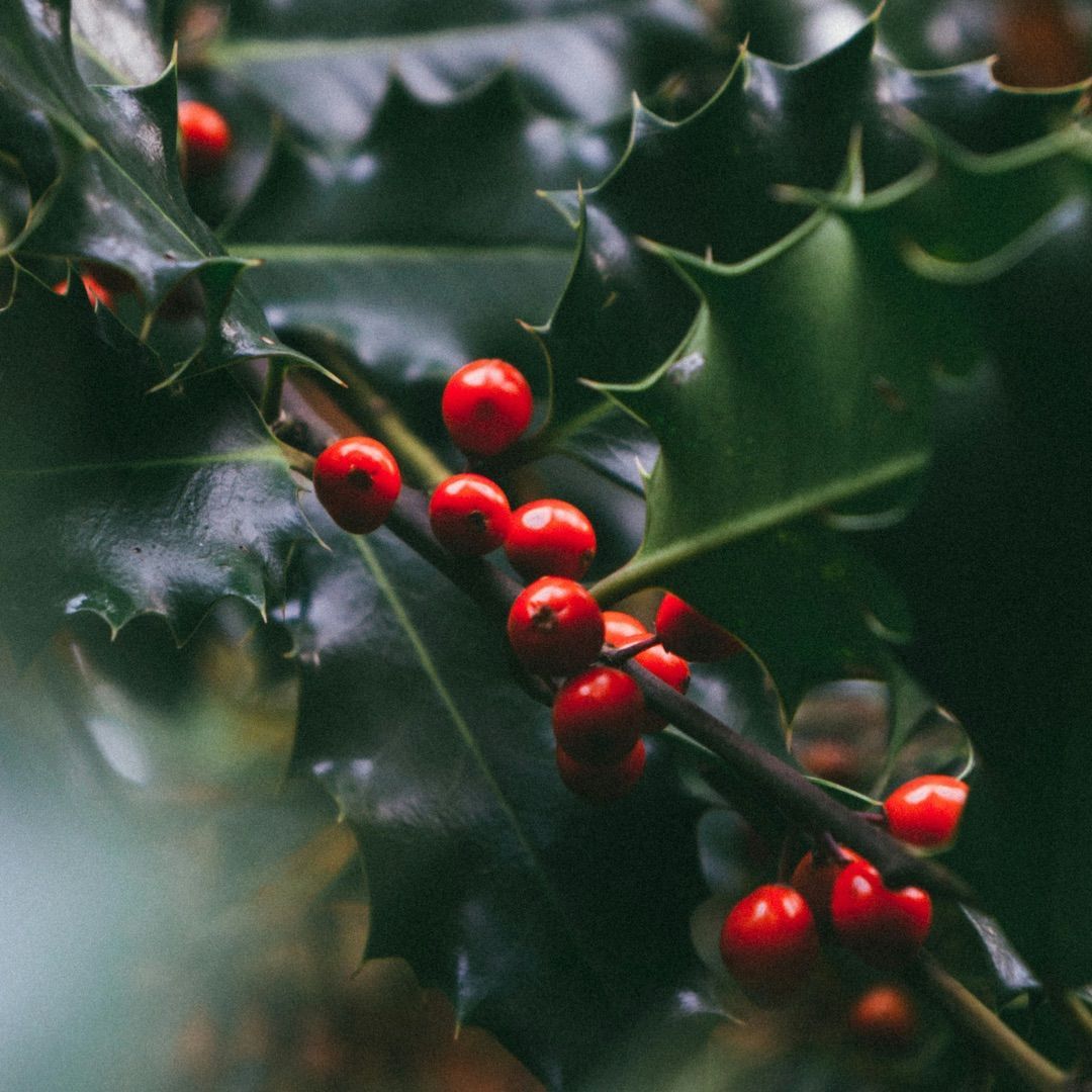 SusieLarson's tweet photo. May God surprise you with moments of grace and refreshment. May He bless you with sudden belly laughter and watery eyed joy. May He give you a gift that you least expect. And may He inspire you to pray more audaciously than you ever have before. And tonight, sleep deeply! https://t.co/P2ynq28eZM