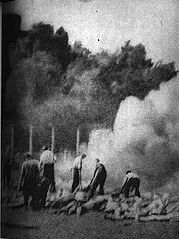 jay_daniel88's tweet photo. @___Soap___ @frenchyberry @itachipon3417 @GarbageHuman24 This photo depicts victims of the holocaust being burned in mass pits and was taken by a member of the sonderkommando at auschwitz birkenau. https://t.co/niR4c2LnSw