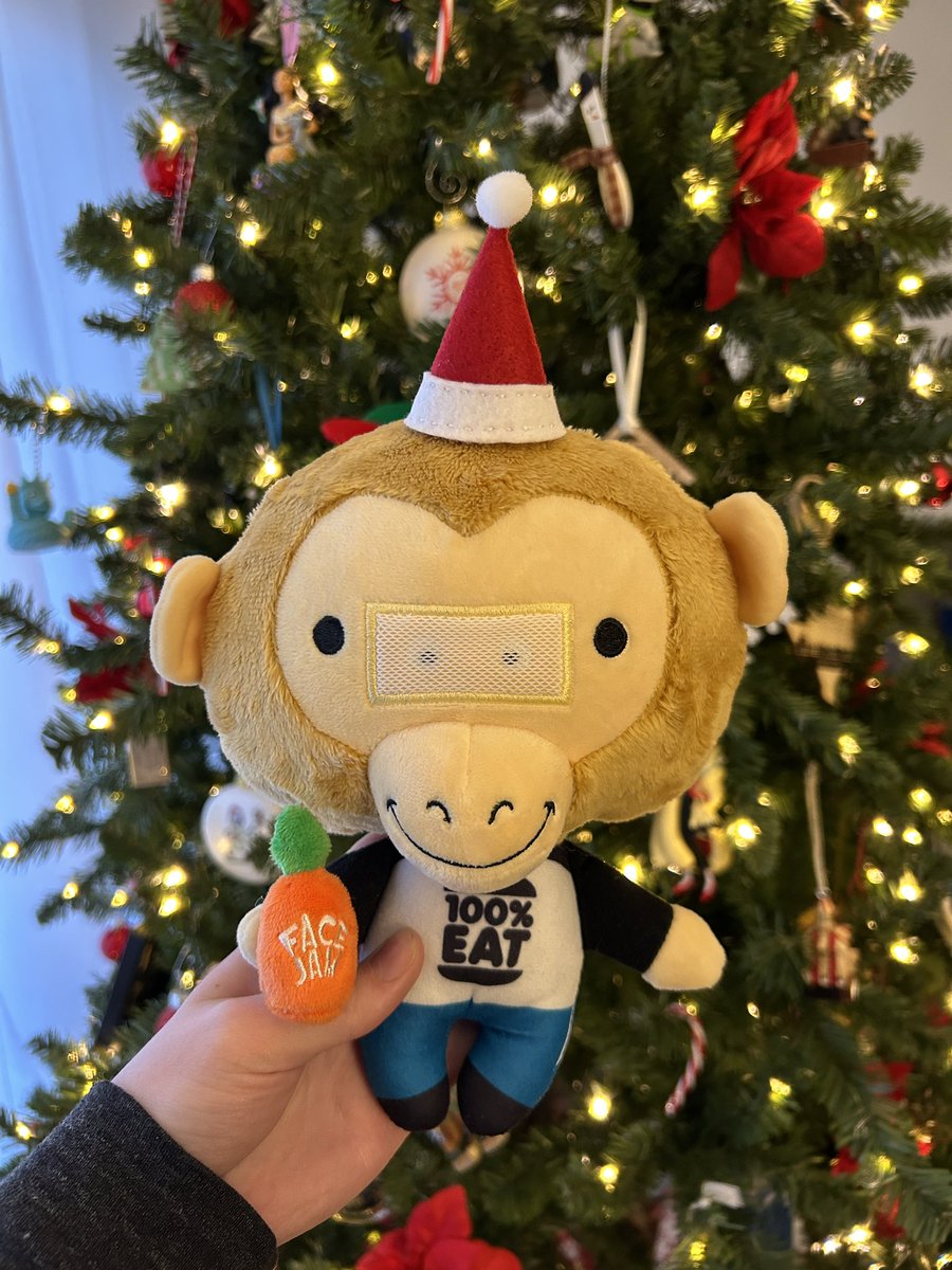 MadisonSnell_'s tweet photo. santa hats for the monkey gang 🎅🏻🎄
@100PercentEat https://t.co/9hJnSeVEXq